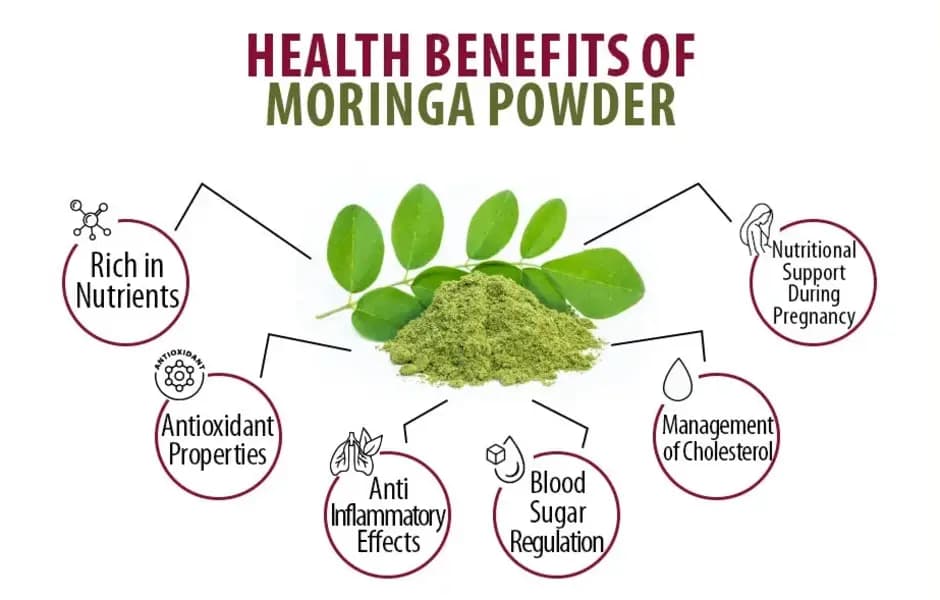 100% Organic Moringa Leaf Powder  Pure Green Superfood | Boosts Immunity, Metabolism & Weight Loss  50g Pack