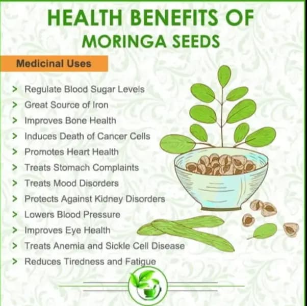 100% Organic Moringa Leaf Powder  Pure Green Superfood | Boosts Immunity, Metabolism & Weight Loss  50g Pack