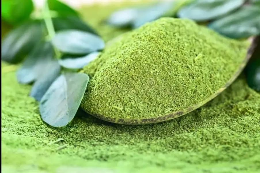 100% Organic Moringa Leaf Powder  Pure Green Superfood | Boosts Immunity, Metabolism & Weight Loss  50g Pack